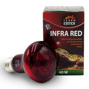 Terra Exotica Infra Red - Infrarot Reflektorstrahler - 100 Watt